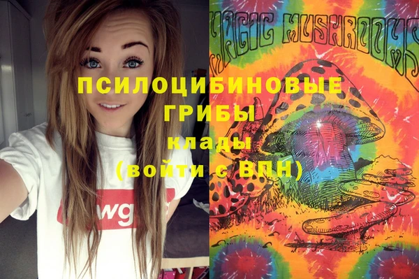 mix Абаза